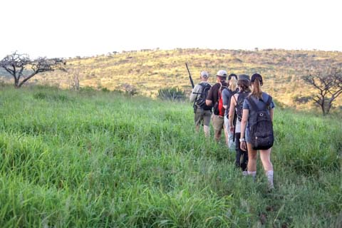 Zulu Nyala - Guided Bush Walks